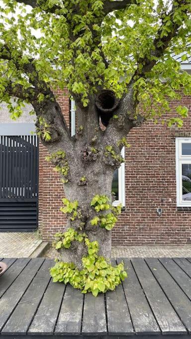 Puur Eastermar - Monumentaal, Authentiek En Luxe Koetshuis Aan Open Vaarwater Met Jacuzzi En Sauna Oostermeer Exterior foto